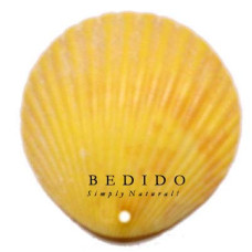 Natural Shell Pendant