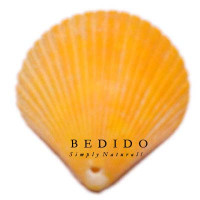 Natural Shell Pendant