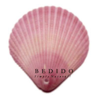 Natural Shell Pendant