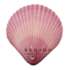 Natural Shell Pendant