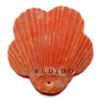 Natural Shell Pendant