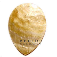 Natural Shell Pendant