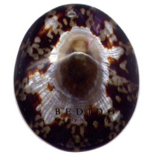 Natural Shell Pendant