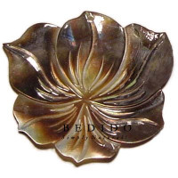 Natural Shell Pendant