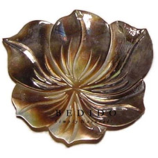 Natural Shell Pendant