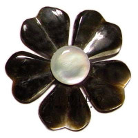 Natural Shell Pendant