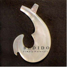 Natural Shell Pendant