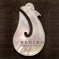 Natural Shell Pendant