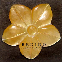 Natural Shell Pendant