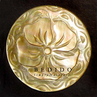 Natural Shell Pendant