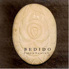 Natural Shell Pendant