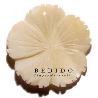 Natural Shell Pendant