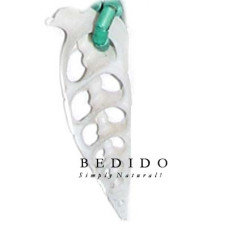Natural Shell Pendant