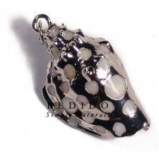 White canarium shell molten silver metal jewelry